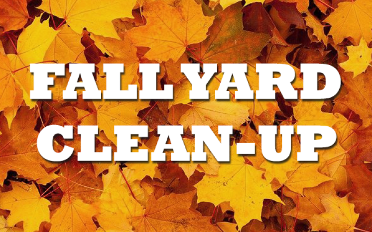 Fall Yard Clean-Up