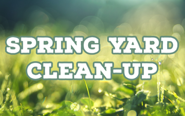 Spring Yard Clean-Up